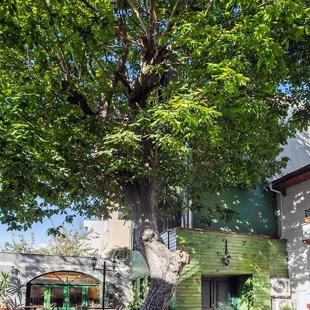 Rose Garden 4* Κωνσταντινούπολη