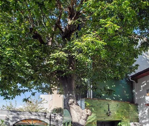 Rose Garden 4* Isztambul