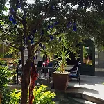 Rose Garden 4*